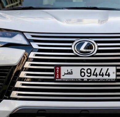69 Special Plate Number 