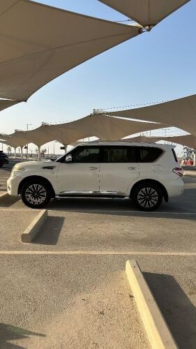 Nissan petrol platinum 2010