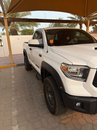 تندرا باب 2016