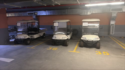 3 Golf Cart for Sale