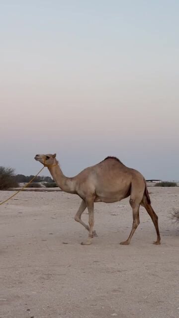 مدني شهر ١٠