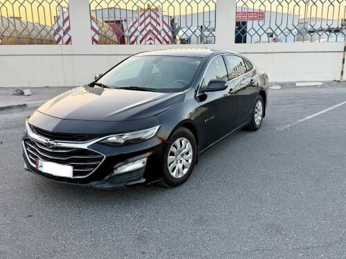 Malibu turo 2019