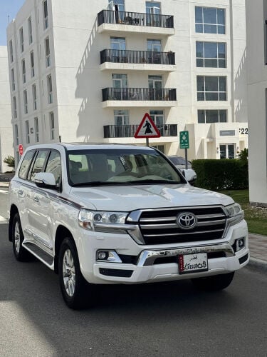 Land Cruiser 2019 Factory paint