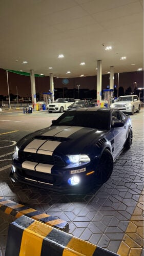 For Sale mustang
