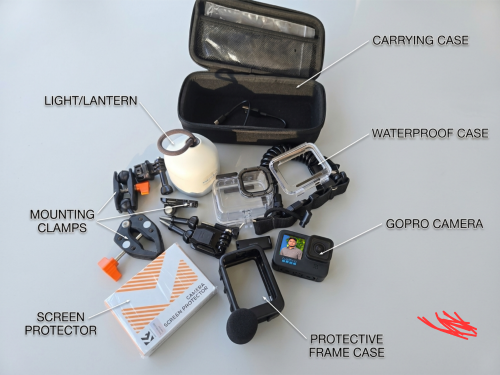 GoPro action 11 + media mode