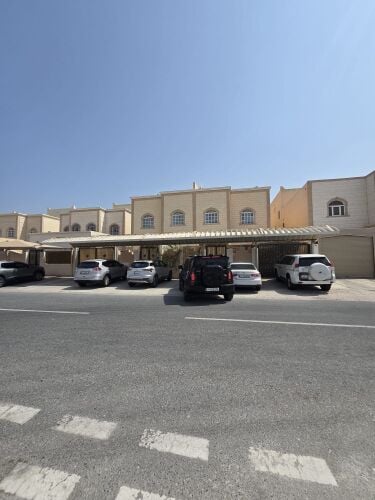 فلتين متلاصقات بالخيسه الجديده