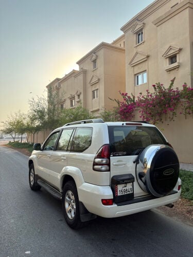برادو نظيف