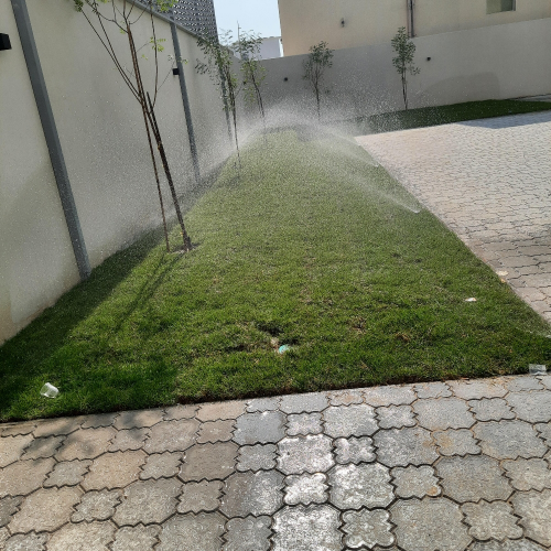 للاشجار والعشب طبيعي