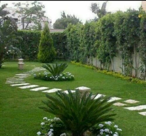 مزارع ومنسق حدائق 55079950
