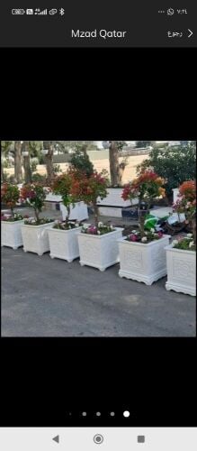 توريد زراعه الاحواض