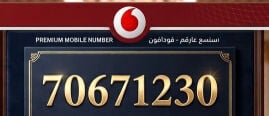 رقم نهايته تسلسلي 