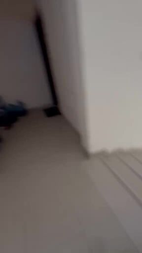 استوديو كبير الدحيل العبيب