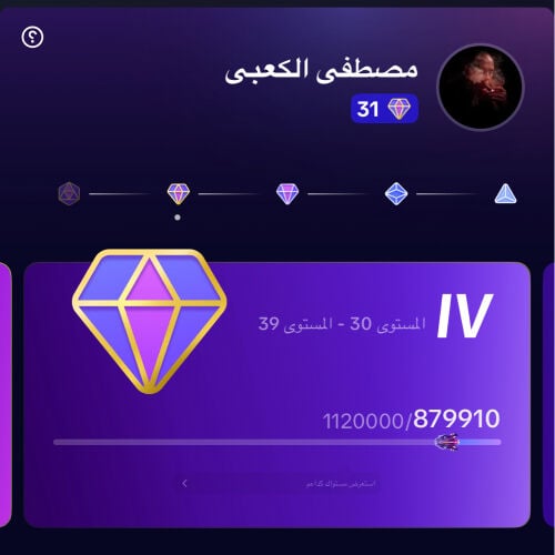 31 level account
