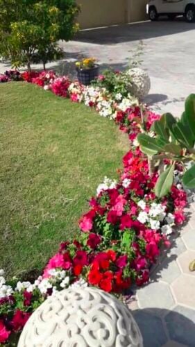 مزارع