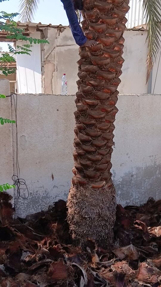 أنا حق التكريب الاول