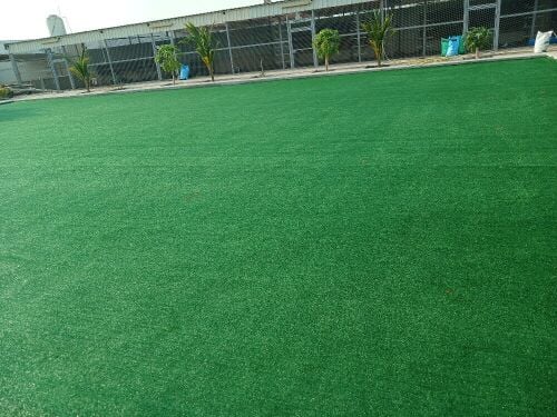 Artificial grass, grass carpet
