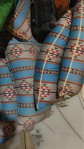 جلسه ارضيه