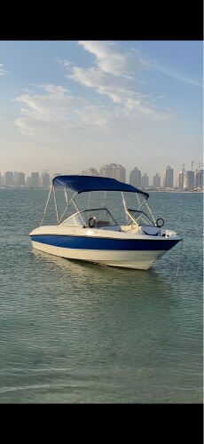 بيلاينر ٢٠١٤