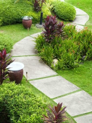 تقني مهندس دكتور الزراعة والري