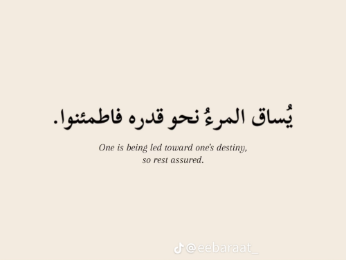 مدرسة لغة عربية    لجميع المراحل