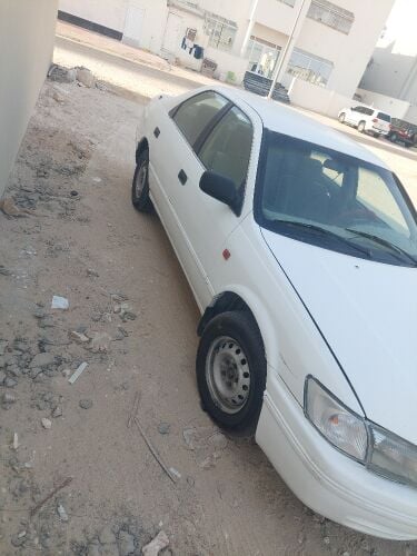 محمد