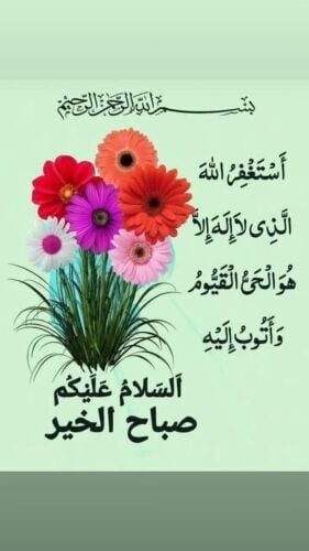 مطلوب ماكينه ليزر