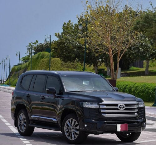 VIP LIMOUSINE 