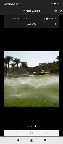 عمل شبكات الراي
