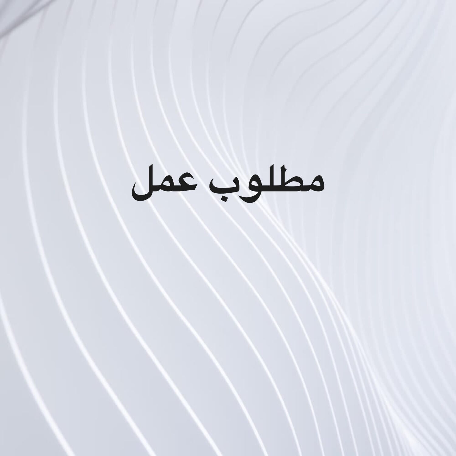 مدير إداري ومالي خبرة