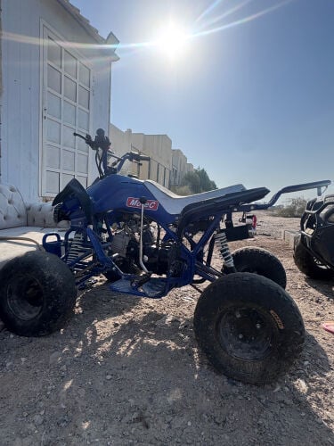 البيع