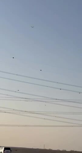 جير شاهين اسباني