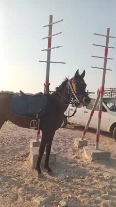 للبيع