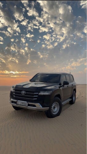 اعلى سعر 