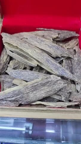 oud sumatrea