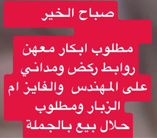 مطلوب