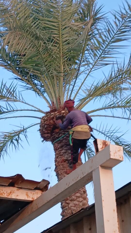 ٩٠/ تكريب تنظيف ت٥٥٧٤٤٣٦٣
