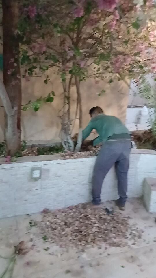تلميع وتنظيف ت٥٥٧٤٤٣٦٣