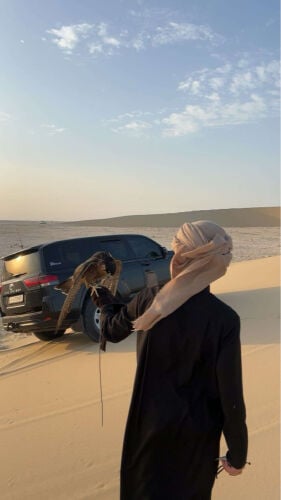 شاهين من شاهين