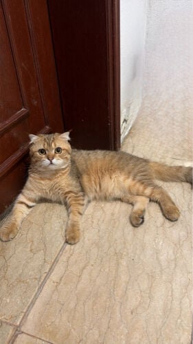 no name