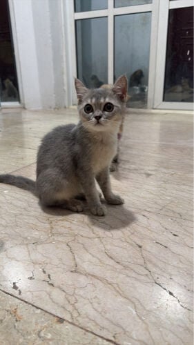 no name