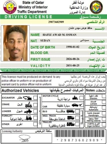 ريو