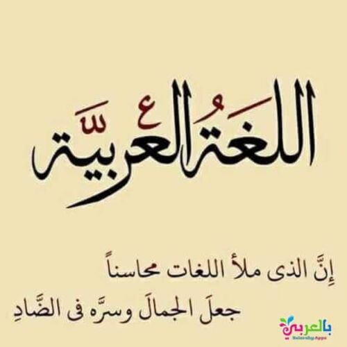 مدرس لغة عربية وشرعية