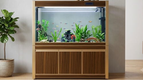 Large electronic fish tank 