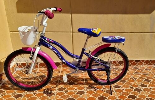 kids bicycle