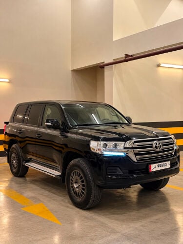 GXR 2019 V6