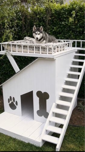 make for cat or dog house