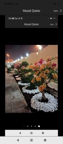 ورود زراعه الورود