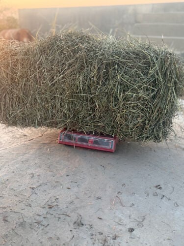 مشروع للبيع