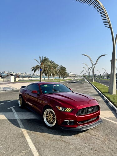 2015 Ford Mustang EcoBoost – For Sa