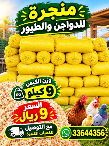 نشارة دجاج